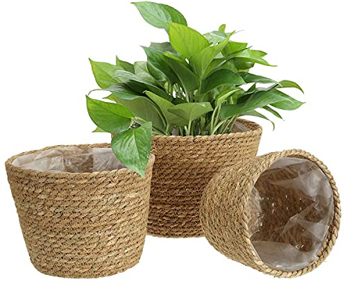 Cache-Pot en Jonc de Mer Lot de 3, S/M/L | Pot de Fleur Osier, Tissé Main, Doublure Imperméable, Panier Plante Intérieur