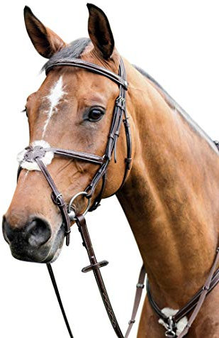 Prestige - Mexikanische Trense mit Ziernähten E80