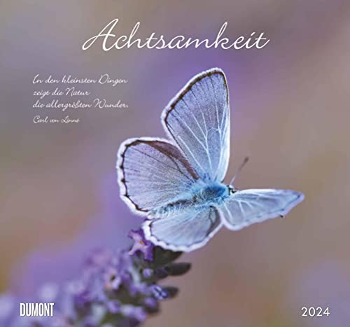 Achtsamkeit 2024 - DUMONT Wandkalender - mit den wichtigsten Feiertagen - Format 38,0 x 35,5 cm
