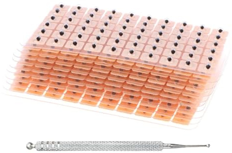 600 Acupuncture Semillas de Oreja, Adhesivas Desechables para Masaje de Oídos, Semillas Prensa Orejas Desechables, Auriculoterapia De Frijoles, Vaccaria Masaje De Orejas, Para Masaje De Relajación