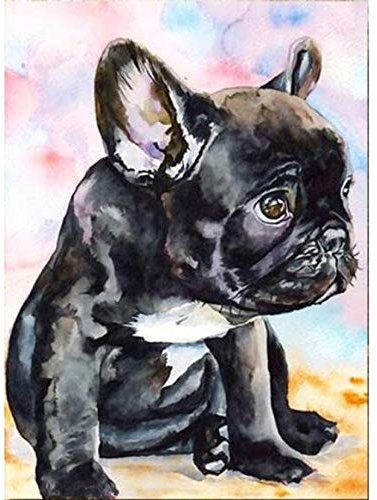 HZDXT 5D Diamond Painting Kits, Französische Bulldogge Kristallstickerei, Für Familiendekoration Tier Strass Diamant Kreuzstich 40X50Cm