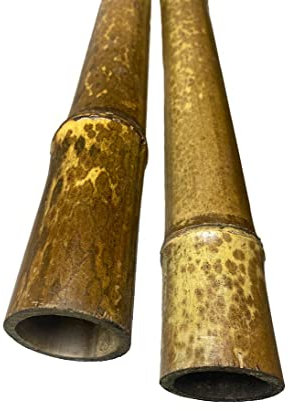 Tube en Bambou Tiger 200 cm brunie avec Train. Bambou Lattes de Bambou de 5 à 6 cm de Bambou - Bâton en Bambou Bambou - Tige en Bambou - Tige en Bambou