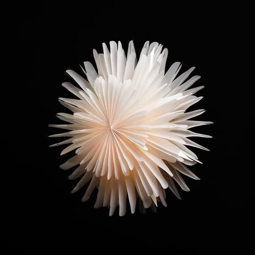 Sterntaler Dekostern | Weihnachtsstern Papier | Faltstern | Weiß | 45cm | Innen | Glühbirne | Netzstecker