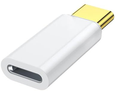 CTDWNT Adaptateur Lightning femelle vers USB type C mâle 10 W/60 W/60 W Pro Fast Pro pour iPhone 14 15 Max Câble de charge