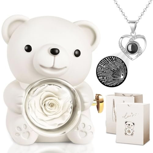 Coffret Cadeau Femme Ours en Rose avec Éternelle, Boîte à Bijoux Cachée Collier en Forme de Cœur, pour Saint Valentin, Fête des Mères, Anniversaires, Mariages