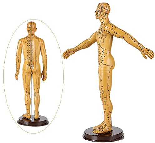 LBYLYH Modèle d'acupuncture, 60 cm, avec des Points de méridiens Humains pour la médecine Chinoise, pour Apprendre l'acupuncture et Les méthodes de Traitement