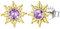 ChicSilver Orecchini a Lobo Argento 925 Sole Orecchini con Ametista Orecchini con Pietre Viola Alessandrite Giugno Confezione Regalo