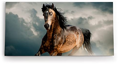Paul Sinus - Wandbild auf Leinwand 100x50cm, Pferd Naturmotiv, Kraft, Dynamik, Bewegung, Dunkle Wolken, Detailreich, Hochwertig, Wandkunst, Dekoration, Modernes Design