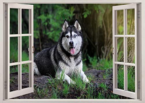 Wandsticker Hund 3D Effekt Fenster Wandaufkleber Poster Vinyl Wandbild 55x80cm