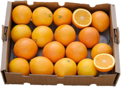 Vitalem – Caja de Naranjas Frescas 4kg (8-14 Piezas) | Fruta Natural y Ecológica | Cultivo Local Málaga | Directo del Agricultor | 100% Sostenible | Ideal para Zumos, Postres y Cocina Saludable