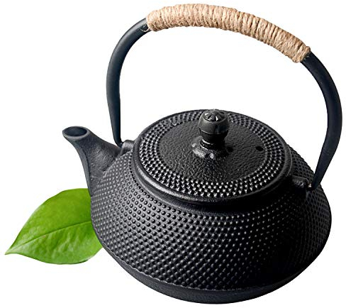 Hwagui Tetera Hierro Fundido con Filtro Teteras Japonesas Negro 0,6l/600ml