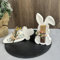 Silikonformen Gießformen Ostern,Silikonform Hase Silikonform Ostern Gips Zum Gießen Osternhase Gießformen Silikon Hase Giessform Silikon Ostern Silikonformen Ostern Silikonform für Geldgeschenke (H)