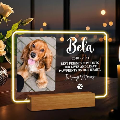Rainsar Erinnerung Hund Fotogeschenke Personalisierte Gedenktafel mit Licht, Personalisiert Andenken an Verstorbenen Katze - Geschenke für Hundebesitzer Katzenbesitzer
