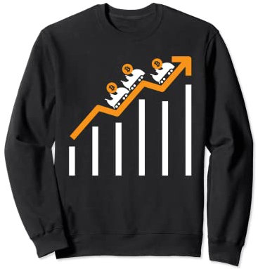 Bitcoin Cryptocurrency Achterbahn BTC HODL Crypto Sweatshirt