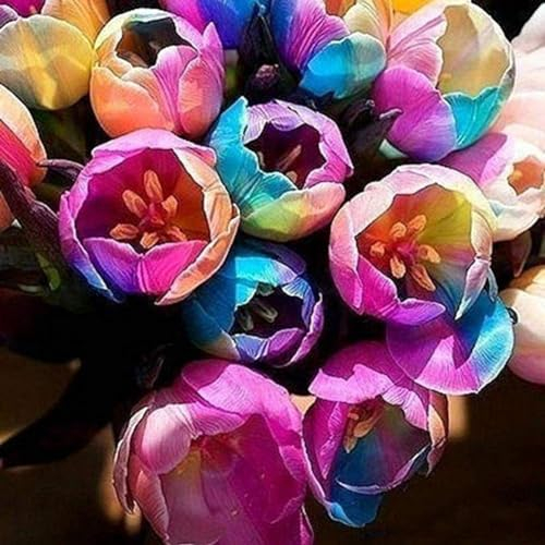 100 Stück seltene Tulpenzwiebeln, Parfüm, Blumen, Garten, Topfpflanze, Bonsai, Dekor, Gartensamen zum Pflanzen jetzt Tulpensamen