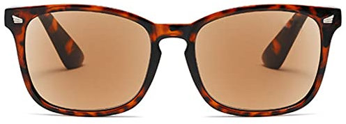 ABETOS Sonnenbrille Lesebrille Damen Herren Getönte Lesebrillen mit Sonnenschutz Klassischer Lesehilfe Sehhilfe mit Sehstärke 0.0 0.5 1.0 1.5 2.0 2.5 3.0, Schildpatt+1.75