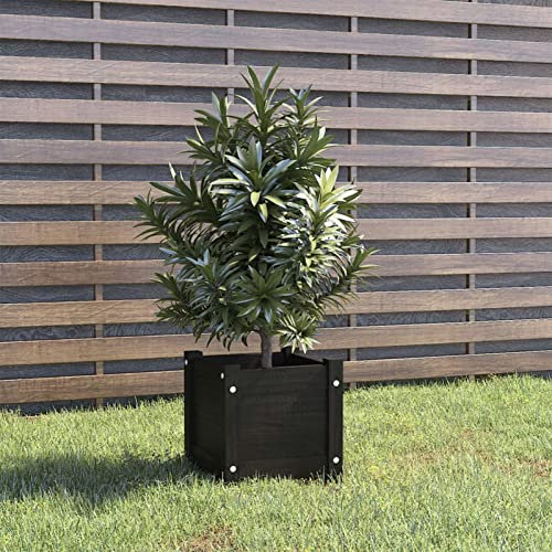 BaraSh Jardinière d'extérieur Noir 31x31x31 cm Bois de pin Massif,Jardiniere sur Pieds,Bac avec Treillis,Jardiniere Terrasse