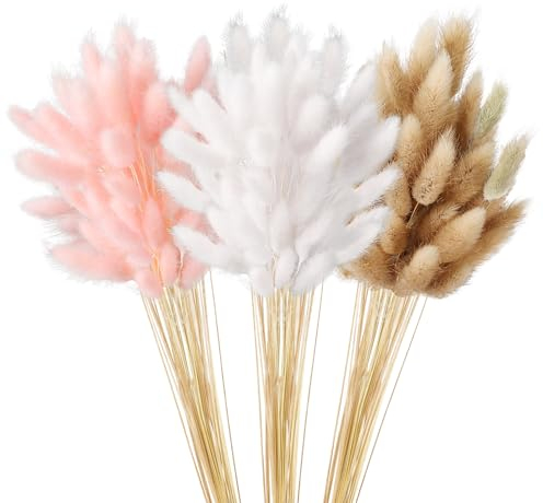 Lot de 180 herbes de la pampa séchées - Queues de lapin - Herbe de la pampa séchée - Fleurs séchées - Bouquet d'herbe de la pampa naturelle pour mariage, salon, chambre à coucher