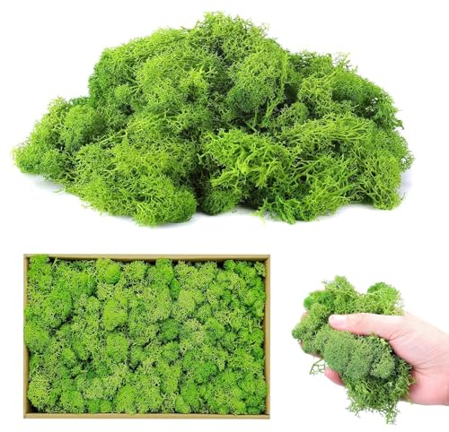 Funmo Islandmoos zum Basteln, 200g Moos Natur Konserviert Wiederverwendbare Moosblätter Kunstmoos zum Basteln Künstliches Moos Deko für DIY Dekorative Blumenarrangements Feengärten, Grün