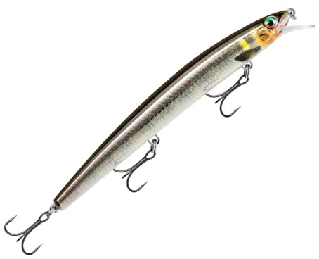 Rapala - MaxRap Angelköder - Angelzubehör mit aerodynamischem Profil - Salzwasser Spinnköder - Lauftiefe 0,3-0,9m - Fischköder 17cm, 28g - Hergestellt in Estland - Live Ayu