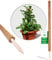 Novatool Monstera deliciosa Lot de 2 tuteurs de plantes en coco 110 cm I Ø 45 mm I Extensible I Fibre de coco naturelle I Tuteur Monstera deliciosa