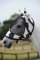 Bucas Buzz-Off Zebra Mask & Ears - Zebra