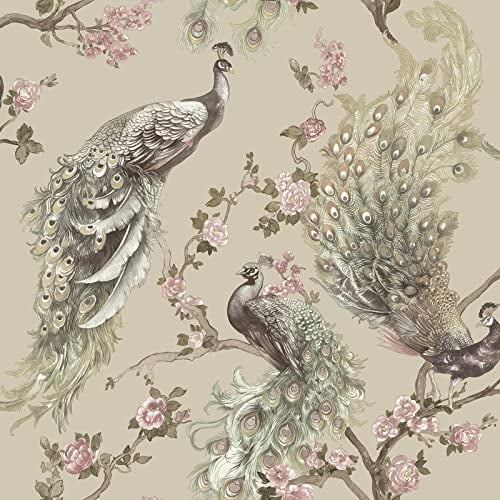 Holden Menali Peacock Glitter Wallpaper Exotic Bird Beige 36271