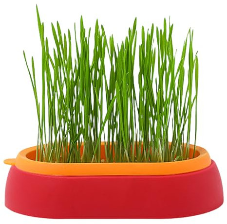 Tsuchiya Recipiente para hierba de gato hidropónico para gatos, perros y otros animales domésticos en interiores o exteriores, caja de hierba para gatos para plantas en interiores