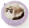 Lesure Katzenbett waschbar Katzen Bettchen - 63x63x20cm 2 in 1 Katzen Bett mit Zweiseitig Innenkissen Katzenschlafplatz für Katzen oder kleine Hunde, Lila