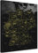 LANA KK - Premium Pinnwand Deutschlandkarte - Noir - Deutsch - in 70 x 100 cm, stabile Rückwand zum Pinnen inkl. Starterkit - Leinwand-Kunstdruck Wandbild Landkarte XXL