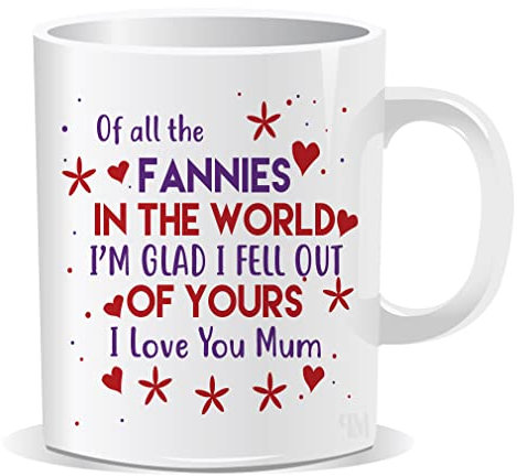 Perfect Mugs of All The Fannies in The World I'm Glad I Fell Out of Yours I Love You Mum Funny Humour Gift Mummy Best Mum Cup Birthday Christmas Ceramic Office Mother's Day Women Tea Coffee