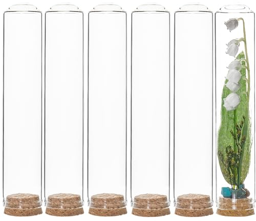 SUNNYCLUE 6 mini Dôme en Verre de 30x150 mm avec Base en Liège, Mini Bouteilles en Verre de 80 ml, Bocaux Décoratifs, Vitrine pour le Stockage de Fleurs, la Maison, la Fête de Noël, les Cadeaux, la Dé