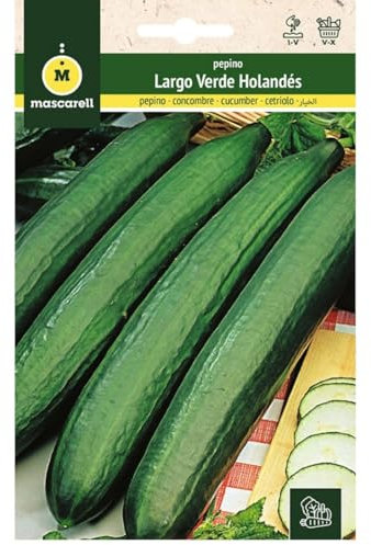 Mascarell Semillas, PEPINO, Semillas Huerto, PEPINO LARGO VERDE HOLANDÉS, Crea tu Propio Huerto Urbano y Cultivo en Casa, Plantas Hortícolas, 1 Gramos
