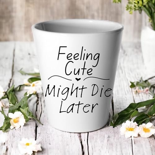 Generic Feeling Cute Might Die Later Plant Pot/Succulent Cactus Flower Pot/Funny Pot