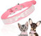 YIMVUNZ Collier pour Chien Avec Strass Rose Personnalisé pour Petit Chien, Chiot et Chat Chaton Avec Nœud - Taille S