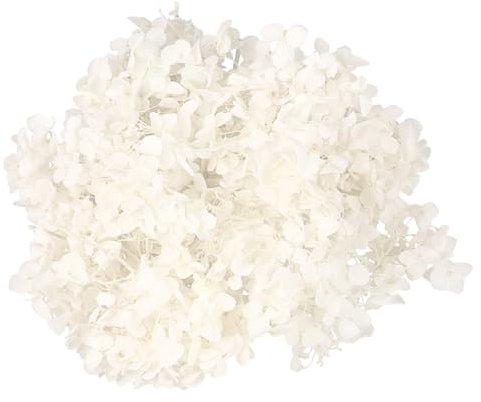 Balacoo 1Confezione Ortensia Essiccati Naturali per Decorazioni da Te Fiori Conservati Eleganti per Matrimoni e Feste per Decorazione Unghie