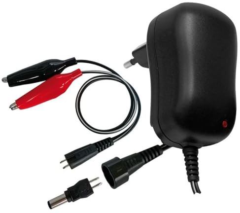 Universal 6V 600mA Battery Charger for AGM GEL 6V Sealed Lead Acid Batteries, 5.5x2.1mm Plug and Alligator Clips, Suitable for 1.2Ah / 2Ah / 4Ah / 7Ah / 12Ah Batteries