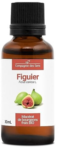 Figuier BIO - 30mL - (Ficus Carica) – Macérat concentré de bourgeons frais