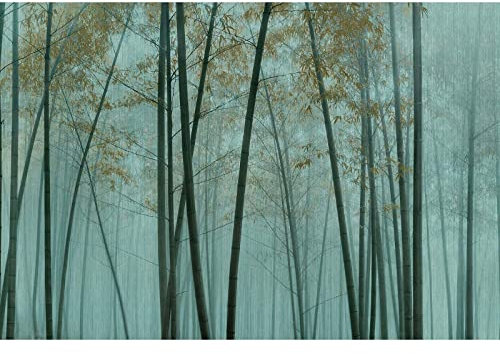 BRICOFLOR | Wellness Fototapete mit Wald Motiv | Grün graue Fototapete mit Bambuswald in Nebel | Schlafzimmer und Badezimmer Tapete mit Bambus in 3D Optik | 270 x 400 cm