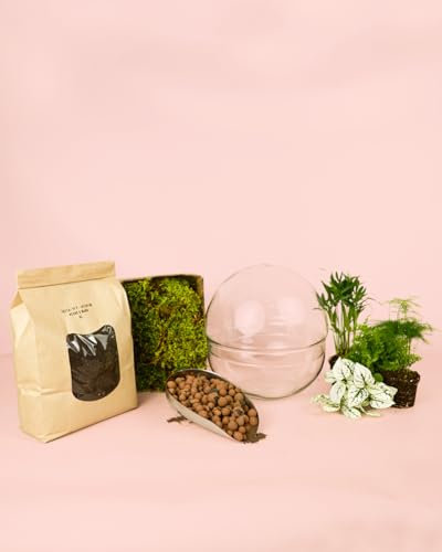 Kit Terrario DIY | Terrario Plantas Cristal | Pur Plant