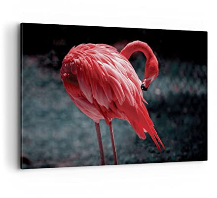 ARTTOR Bilder auf Leinwand 120x80cm Wandbild Afrika Tiere - 4551