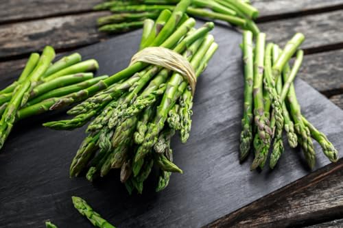 100 Samen Grünspargel Mary Washington Spargel Asparagus Gemüse Vegetables Seeds