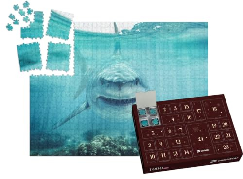 puzzleYOU: Puzzle-Adventskalender | „Auge in Auge mit einem weißen Hai“ – aus der Puzzle-Kollektion Haie