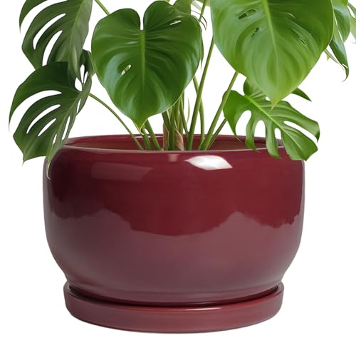 SQOWL Keramiktopf für Pflanzen – 25,4 cm Indoor-Pflanzgefäß mit Ablaufloch und Untersetzer, runder moderner Übertopf für den Außenbereich, dekorativer großer Blumentopf für Blume, Wohnzimmerdekoration