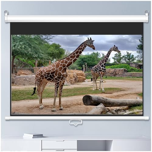 Schermo per Proiettore Manuale 16:9 Schermo per Film Anti-Piega Schermo Videoproiettore per Ufficio Proiettore Home Theater(60in/140cm)