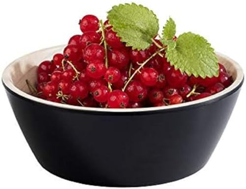 APS „Frida“, nahezu unzerbrechliche Melamin Schale, stabile Kunststoff Schüssel, Müslischale, Ø 15 cm x H: 5,5 cm, Snack-Schale, stapelbar, innen Holzoptik, außen schwarz, spülmaschinengeeignet