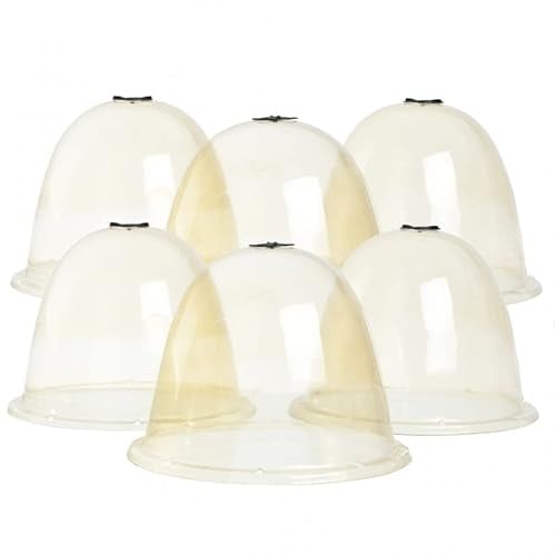 Outiror - Lot de 6 Cloches à Salades avec Ventilation et Accroches - pour Cultures en Potager