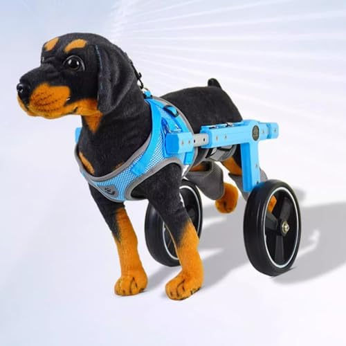 Rullstol för Hund 2 Hjul Hundvagn för Bakben, Lättviktshjälp för Hundar med Bälte och Reflekterande Remsor，Stöd för Bakbensstöd för Handikappade Husdjur(M)