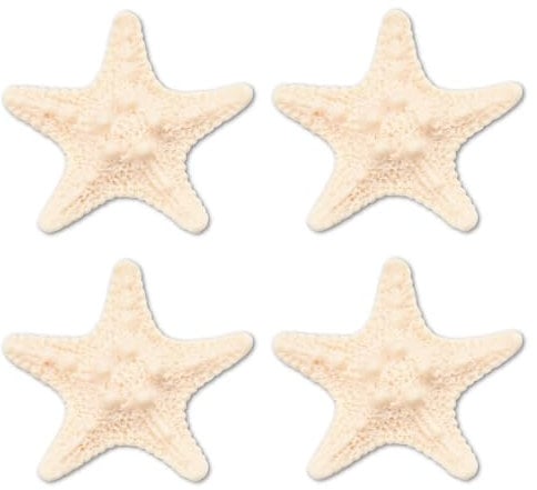 Starfish Refrigerator Magnets Ocean Themed Decorative Magnets for Fridge Whiteboard 3D Starfish Magnets Decor for Home Kitchen Magnet Set 4 Pcs