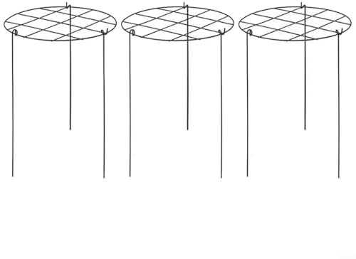 LVYXON Pflanzenstützkäfig-Set, 3 Stück, 39,9 cm hoch, Metall, Garten-Pflanzenringständer für Pfingstrosen, Rosen, Tomaten, Hortensien, Erdbeeren – Kletterpflanzen-Stützrahmen (Gitter-Typ)